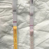 5号排卵的，前前后后测了好几天，都是白板！ 昨天试纸又测了——白板（用的秀儿） 想换一个牌子，哪种测...