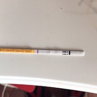 4月5号排卵，今天第一天测到感觉有印子，大家能看到嘛。