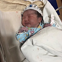 4月13日 卸货成功 8.8斤 大胖小子 刚出生 第二天 第三天