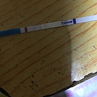 这回是真有了吧  还有四天大姨妈   忐忑啊  怕是咋胡