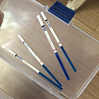 3月24末次月经，app算的4月8号排卵期 猪宝宝还有希望吗。