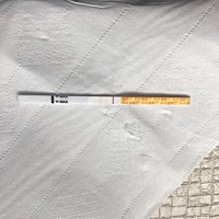 末次月经3月16号，4.16号早上测了下看着像两条杠，不知道是不是