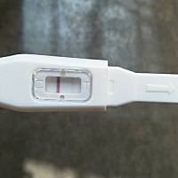 亲们帮我看看这是怀了还是没怀