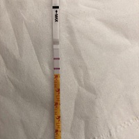 我就想知道这是不是阳性  手机关注的说是阴性 都不知道是不是排卵日了😂