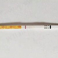 昨天晚上7点左右测的，昨天的是灰印有点意念，今天早上的变的有点粉印了，照不出来，半定量指导的小姐姐...