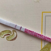 30日排的卵，刚刚测得金秀儿排卵试纸，早早孕白板，估计又凉了