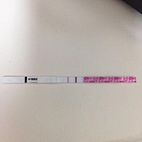 刚测的金秀儿的排卵试纸，有懂得姐妹帮忙看看