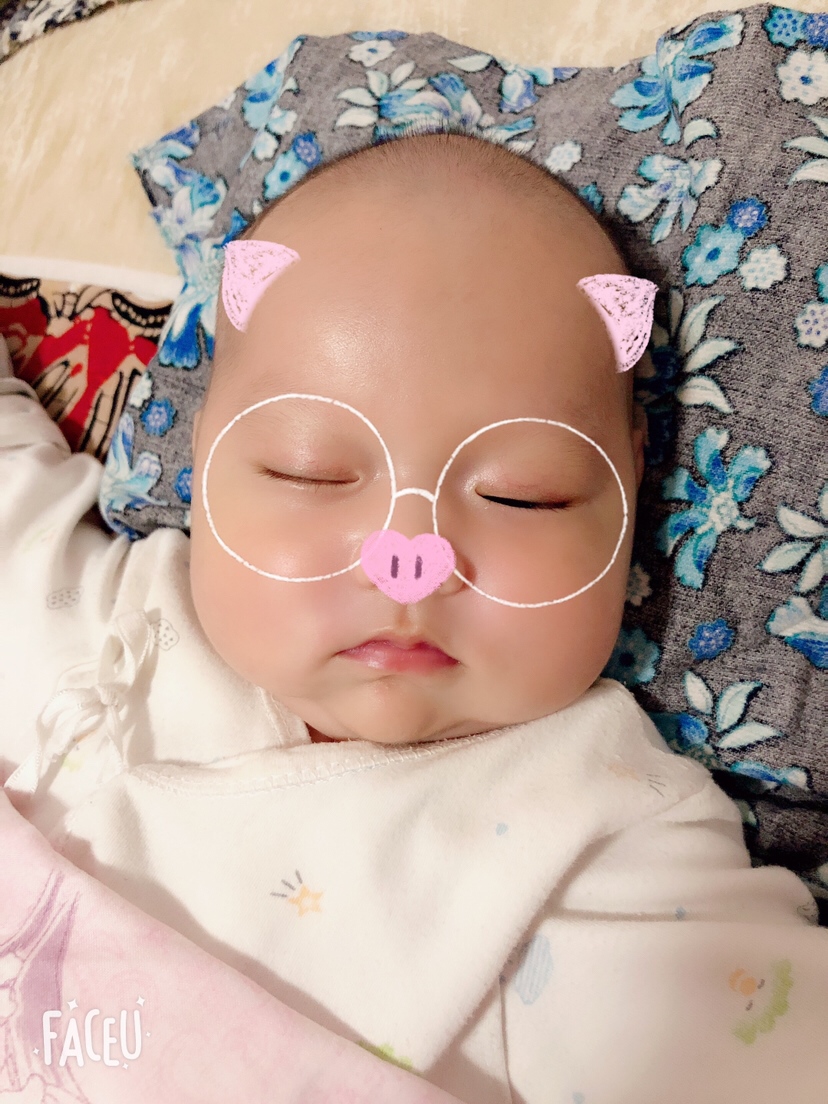 我的🐷宝