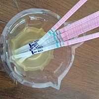 4月1号，来的大姨妈，五号就结束，九号拿测孕棒测了一下，一深一浅，到现在也是一样