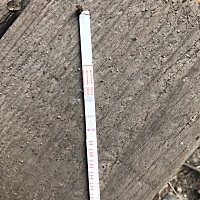 这是排卵强阳吗