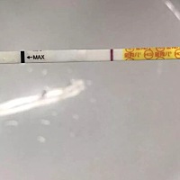 还有两天的姨妈日，金秀儿试纸，测到淡淡的印