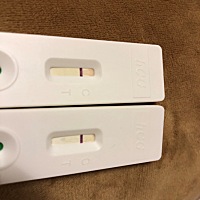 这个是有还是没有啊，上面那个是今天早上测的，下面的是昨天晚上测的。是没有吧