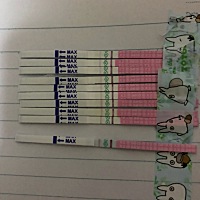 用了大卫牌排卵试纸，在排卵期内测试一直是弱阳没到强，是怎么个回事啊，有相同经历的吗？