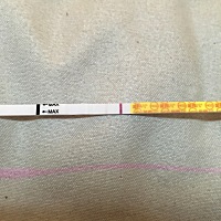 第二天好像有点加深，希望好孕