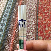 8号排卵，早孕试纸还是白板，没戏了……