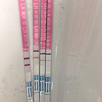 强阳了，安排 今天测到好像强阳了，立马安排了，希望月底好孕