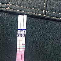 前两天测排卵，卵泡16×13，医生让昨晚今晚同房，昨晚确认排卵试纸双杠，但是先生说太累，拒绝同房，气...