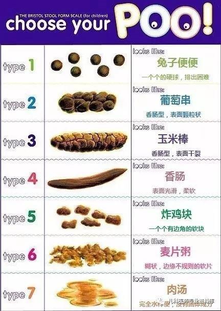 大便的性状（布里斯托大便分类法），从类型1到类型7，性状逐渐变稀。