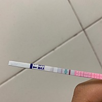 记录说今天是排卵期。测了也是。今天安排一下。希望中标 j