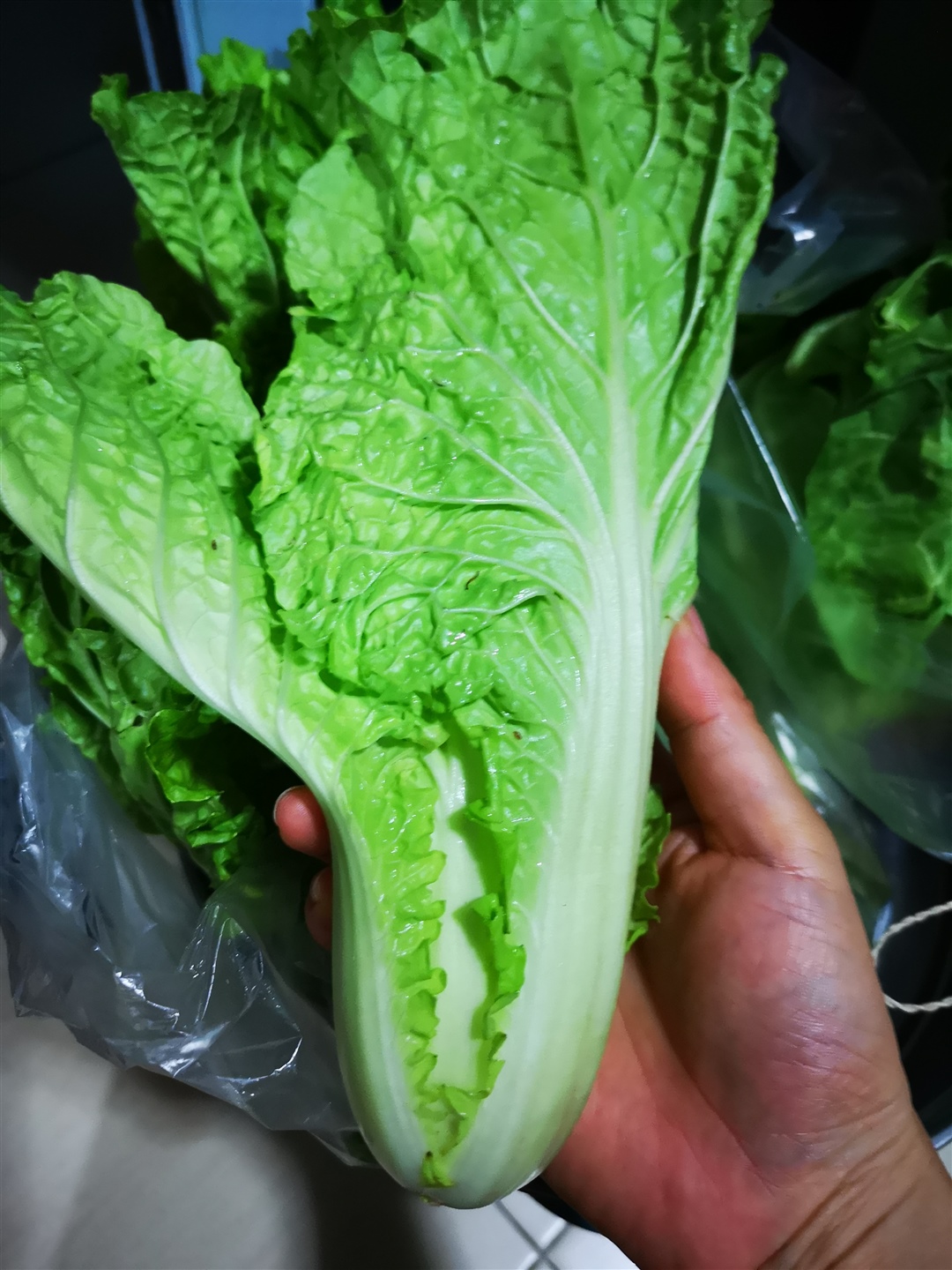 最爱吃这个青菜不知道名字