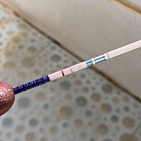 我一八年怀孕过 之后一直检查不到胎心就流产掉了 昨天我肚子不舒服验孕棒一测有喜了，今天早上去打医院...