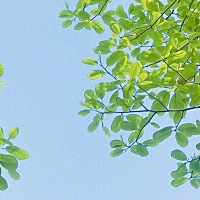 吐槽下邻居家姐姐。 她前后生了两孩子，一儿一女，我都包了红包（一人200元，那时候刚毕业，穷，包的不...