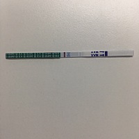 又验证了一个事实，尽管各种怀孕症状都有（或许那是自己太迫切怀孕导致的假性怀孕症状），然而并没有测...