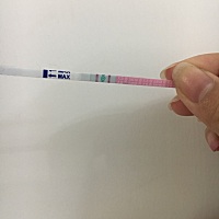 月经推迟35天，这是再次排卵？不来月经也会排卵？ 末次已经是2月15号的事了，3月15没来，4月也没来，推...