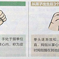 想让宝宝更聪明？ ❤️一个人手、眼、脑的协调能力，也就是我们常说的精细运动。精细运动的发展与宝...