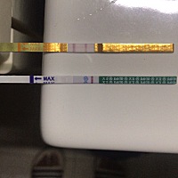 今早玩尿的结果…上是排卵试纸，下是早孕试纸…这个情况是有了么？末次26号排卵期9号…想要🐷宝宝…早...