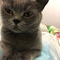 3月23号来姨妈，26号结束，4月14出月3天，像来了一次不正经的姨妈，是黑褐色的分泌物，不知道是不是着床...