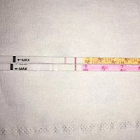 上面的是金秀儿排卵试纸，下面是早早孕，是不是有了