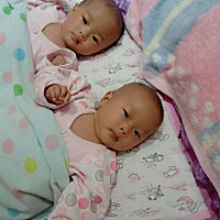 异卵双胞胎就是好分，完全两个样，一点都不像