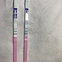 这是排卵了嘛？看不懂，能同房吗？