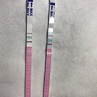 跪求各位小仙女指点，这是排卵了吗？可不可以同房？😭