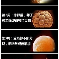 好可爱❤️❤️❤️