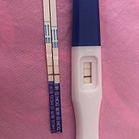 末次3月23，排卵试纸测的4.7强阳，猪宝的末班车赶上了