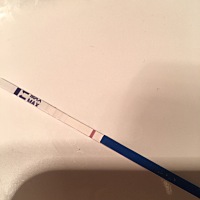 3月25日末次月经，4月10号排卵，连着几天测了都是白板，今天早上起来忍不住又测了，还是白板，后来觉得...