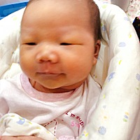 每天就是吃奶，睡觉，拉臭臭 我还有5天就满月了，我就是个表情包😏