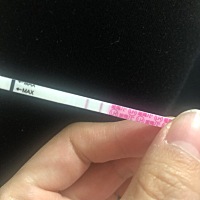 上月3月21号来的姨妈，今天21号测早孕试纸是白板，偶然拿排卵试纸测了一下竟然是俩条杠，这是什么意思 ...