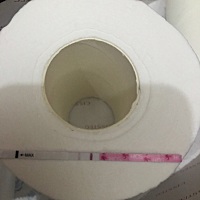 这是怀孕了吗 今天刚测