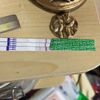 到底怀了吗 月经还有2天到😭