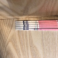 大家好，请问这个4.22号是在排卵的意思吗？排卵试纸不太会看，前两天的体温36.1今天是35.3这样了