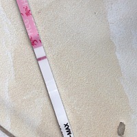 13号排卵的有测出来的姐妹吗？我的今天大白板