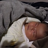 宝宝老是晚上不睡觉  怎么回事天天一点多难道四五点！