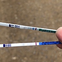 结婚快4年了，之前流过一个，姨妈还有3天到，这次不会再炸糊了吧