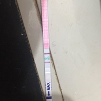 麻烦姐姐们   第一次测试  这是排卵期吗