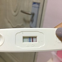 这是有还是没有