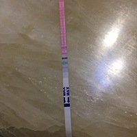2017.5.1结婚，之前一直避孕，直到18年11月才开始备孕要小孩，五个月没怀上个月就想去医院做个查输卵管...