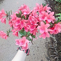 宝宝、妈妈好累阿！ 自己都照顾不了你 我该怎么照顾你阿  宝宝一定要在妈妈肚子里健健康康的、妈妈爱你 ...